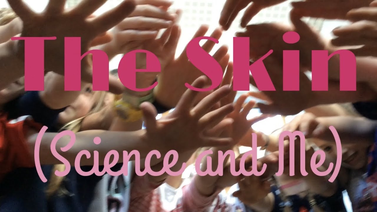 Powerscourt NS - Science and Me: The Skin - ReelLIFE SCIENCE 2018
