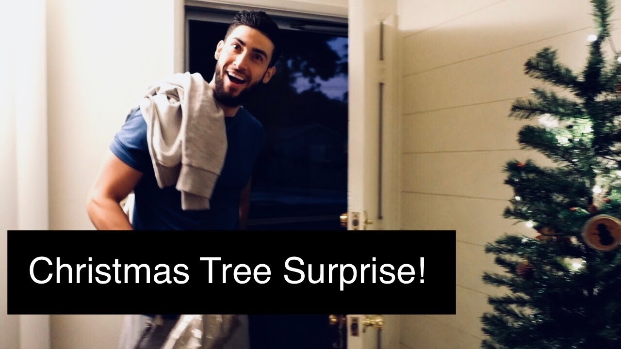 Christmas Tree Surprise/ Apartment Tour Vlog