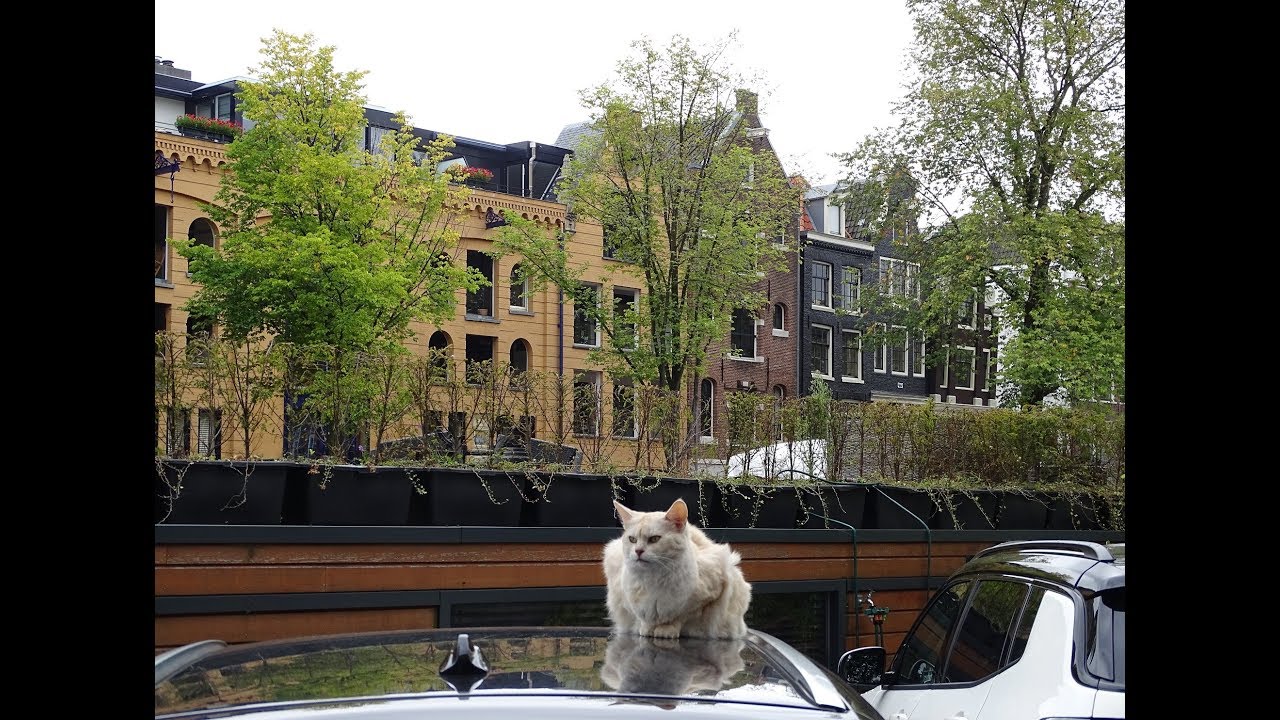 Johnny Jordaan  -  De begrafenis van Manke Nelis / met fotos van de Jordaan