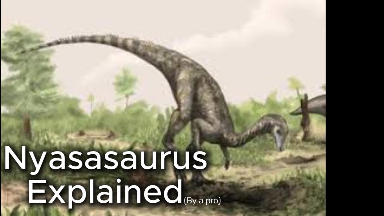 Nyasasaurus Explained