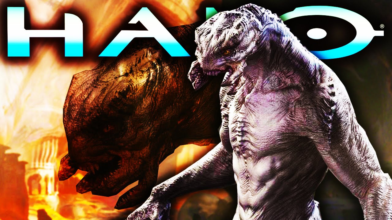 Halo Lore - The Honorable History of Elites