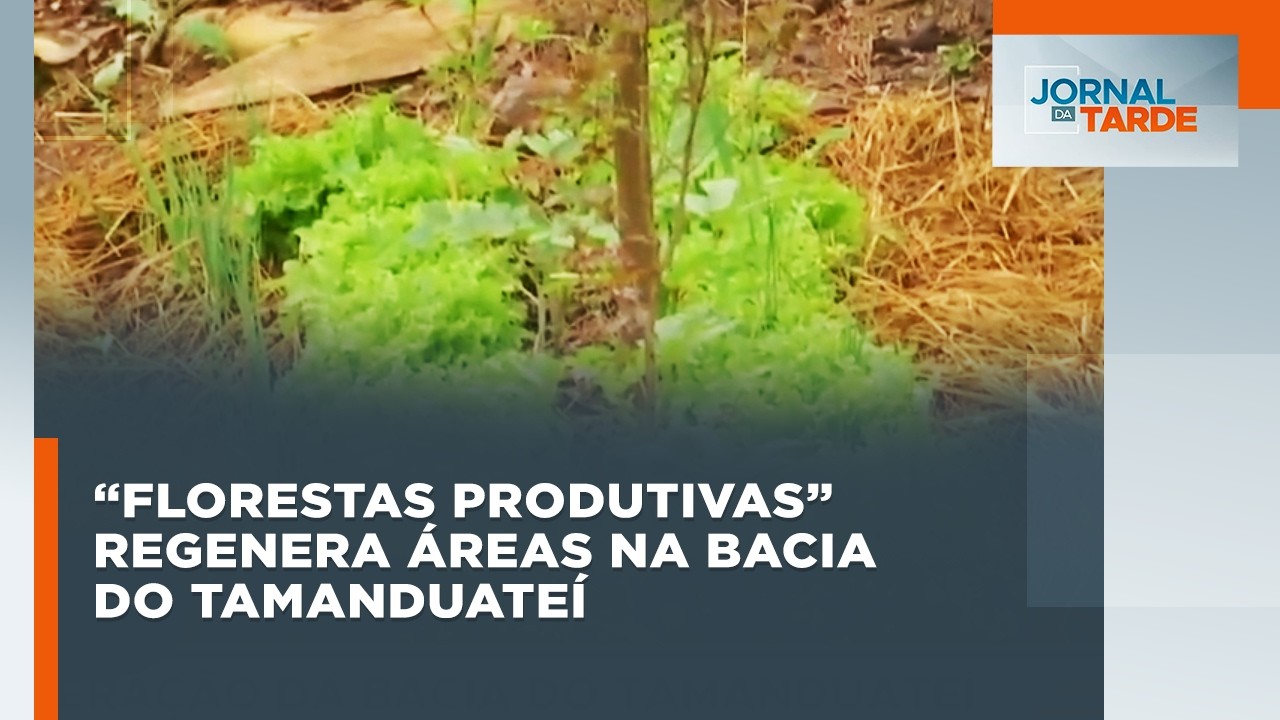 “Florestas Produtivas” regenera áreas na bacia do Tamanduateí