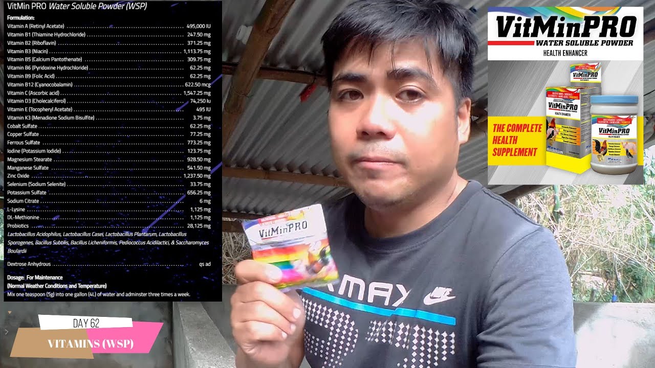 ILANG BESES DAPAT MAGIPAINOM ANG VITMINPRO SA MGA ALAGANG BABOY ? | PALIT VITAMINS | DAY 62 OLD