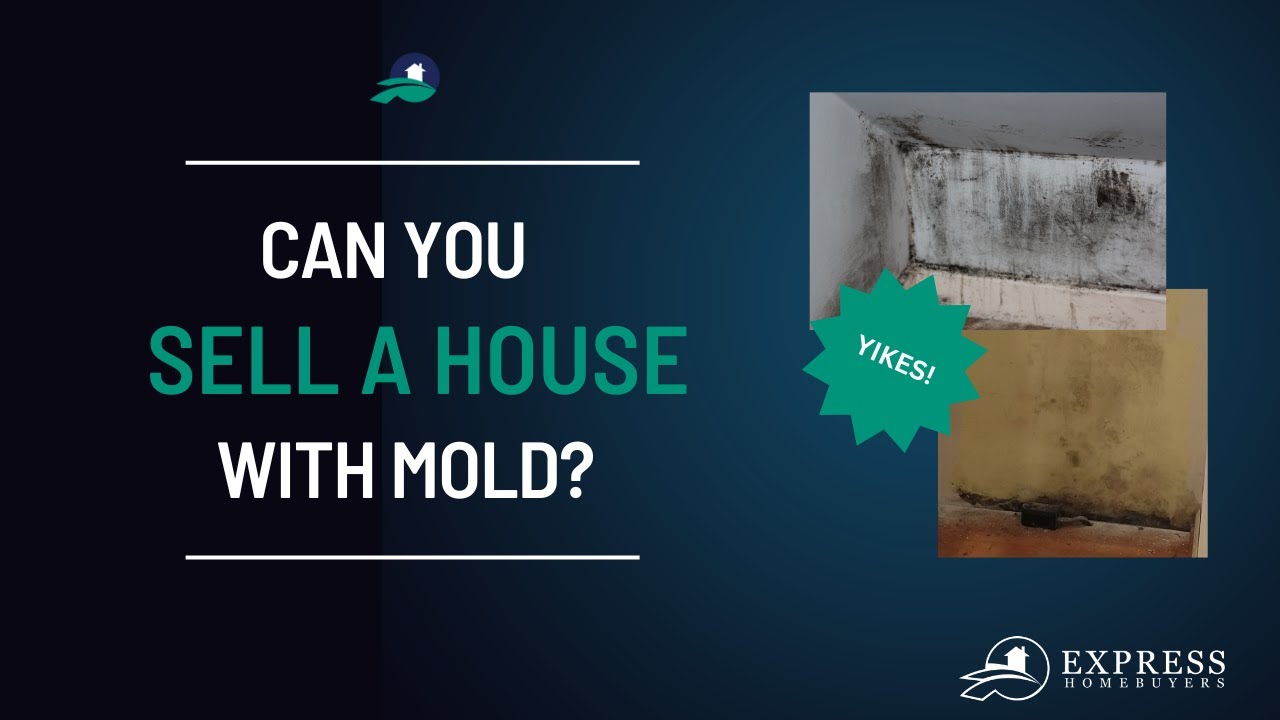 Can You Sell A House With Mold?