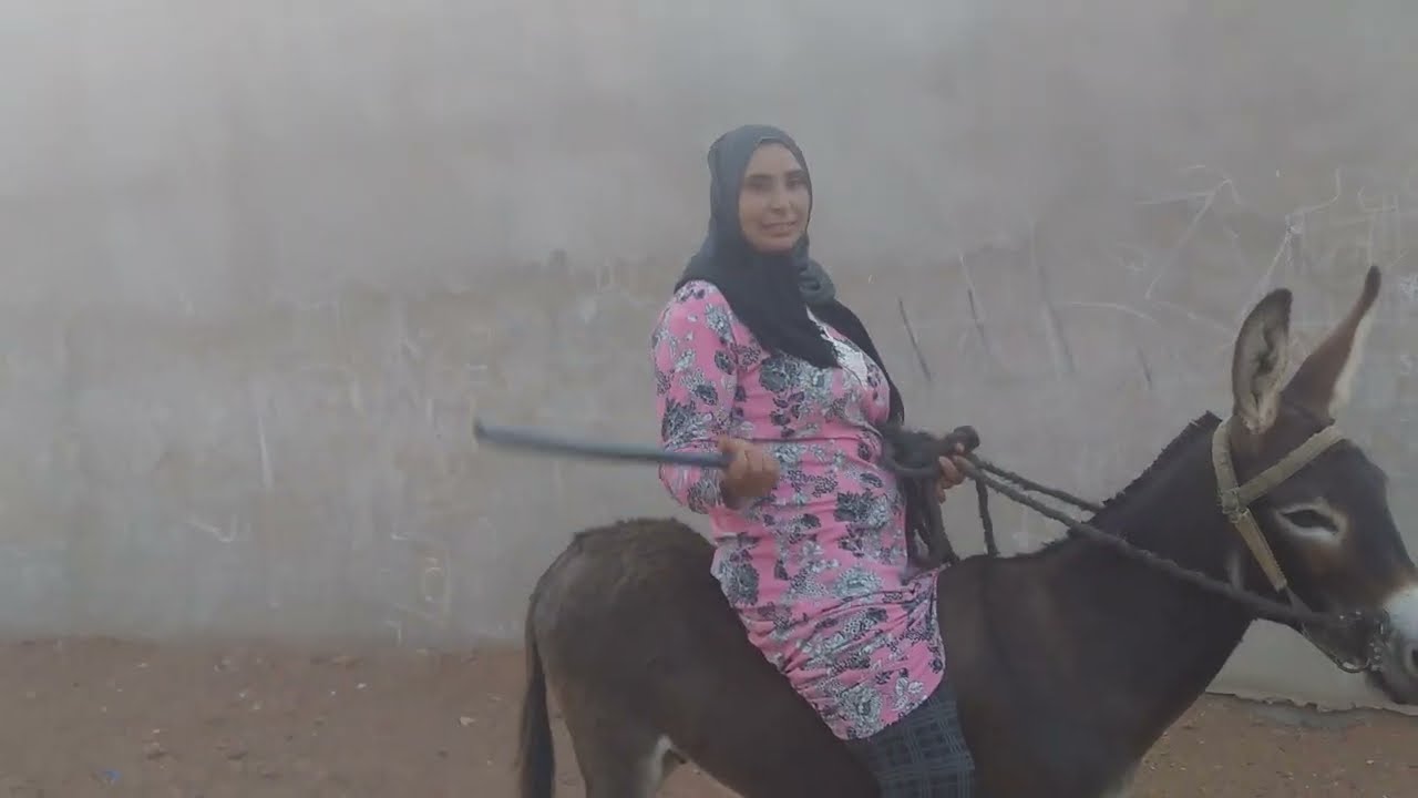 روتيني اليومي انا مشيت العروبية عود تاني🐎🏃‍♂️مكين غير ااحمار وتدريب💪