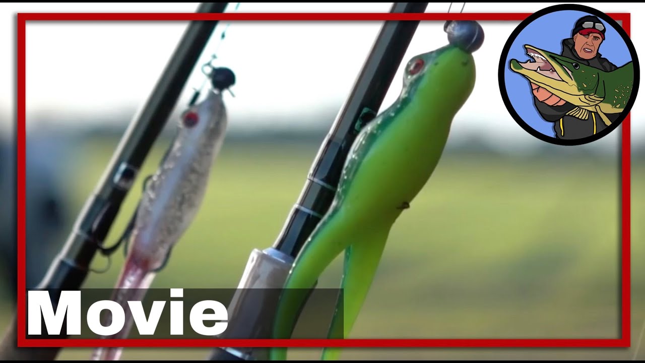 🎣 ROOFVIS WEDSTRIJD MET KIKKERS 🎥 | vissen op roofvis | Snoek | Baars | Snoekbaars | roofvis film #8