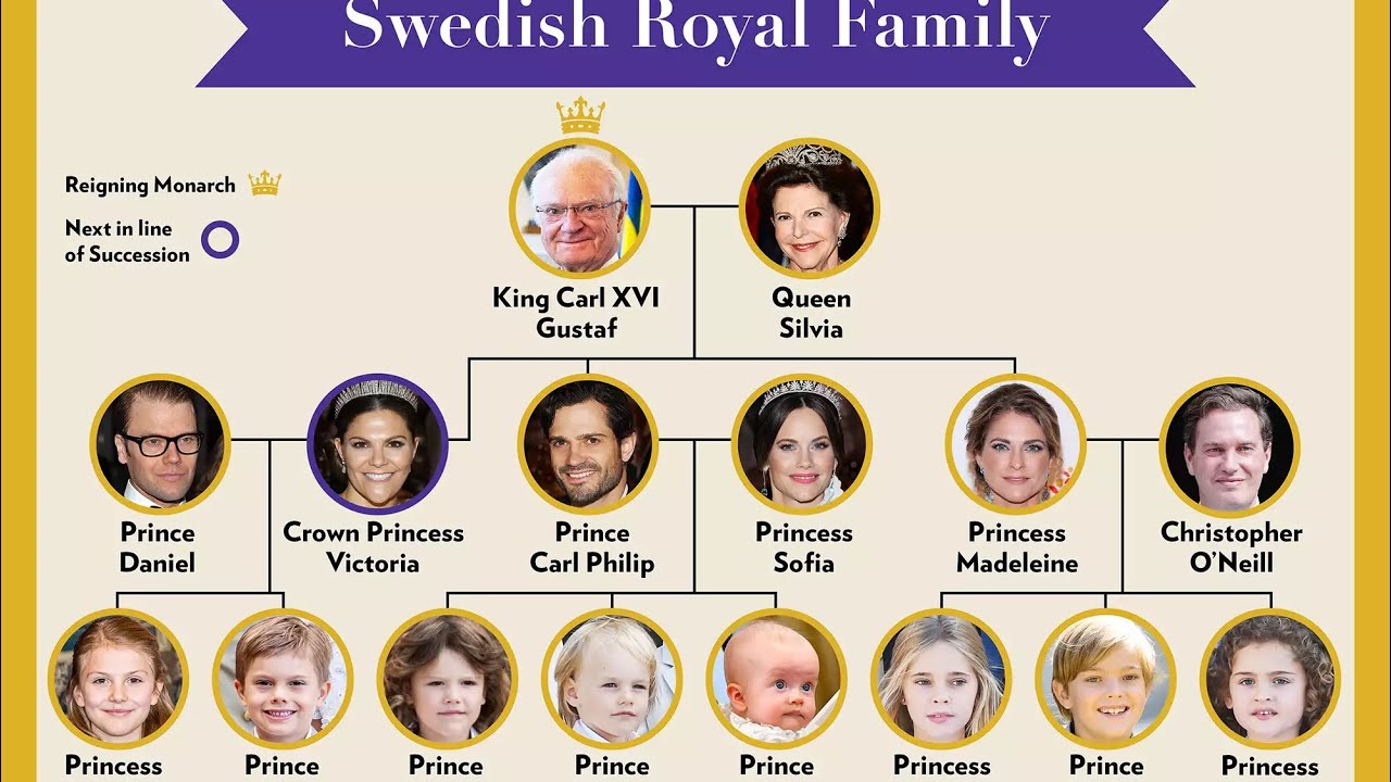 Swedish Royal Family Tree👑🌲: Who&rsquo;s is who in Sweden&rsquo;s 🇸🇪Royal family ?🤨