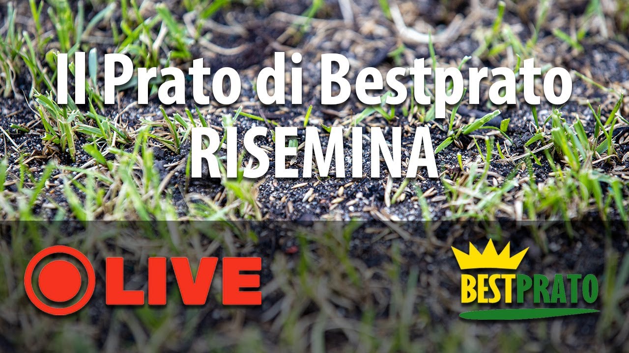 LA RIGENERAZIONE DEL PRATO DI BESTPRATO. RISEMINA!