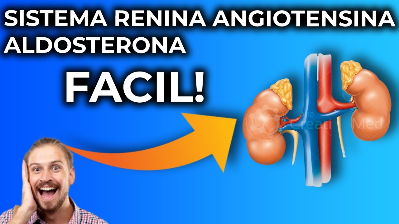 Sistema Renina Angiotensina Aldosterona Explicado Fácil y Sencillo