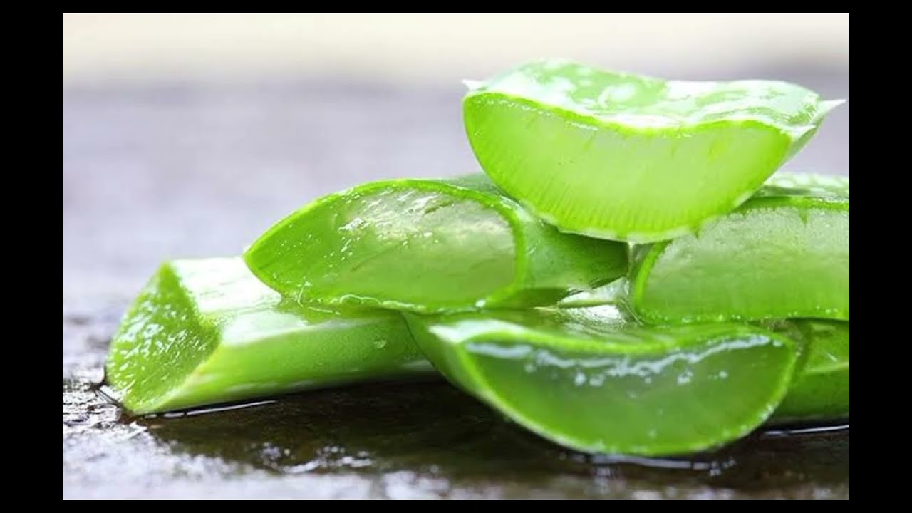 Aloe Vera: Why Did the Pharaohs Keep This Plant in Their Homes? #flowers #aloe #aloevera