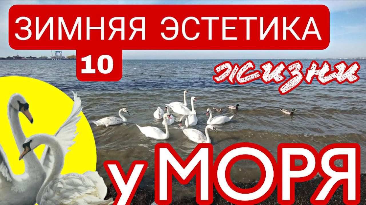 🟡 #АНАПА ☺️☔🌊😎 ЗИМНЯЯ ЭСТЕТИКА У МОРЯ 🟡🔟