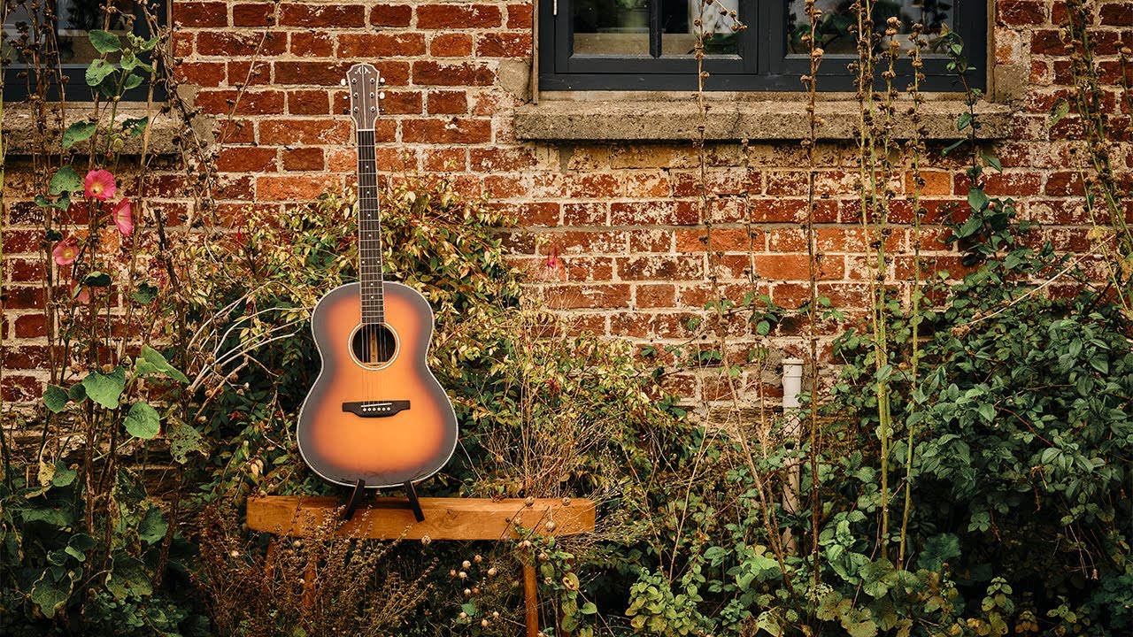 Aria Guitars MSG-02 // Full Review & Demo...