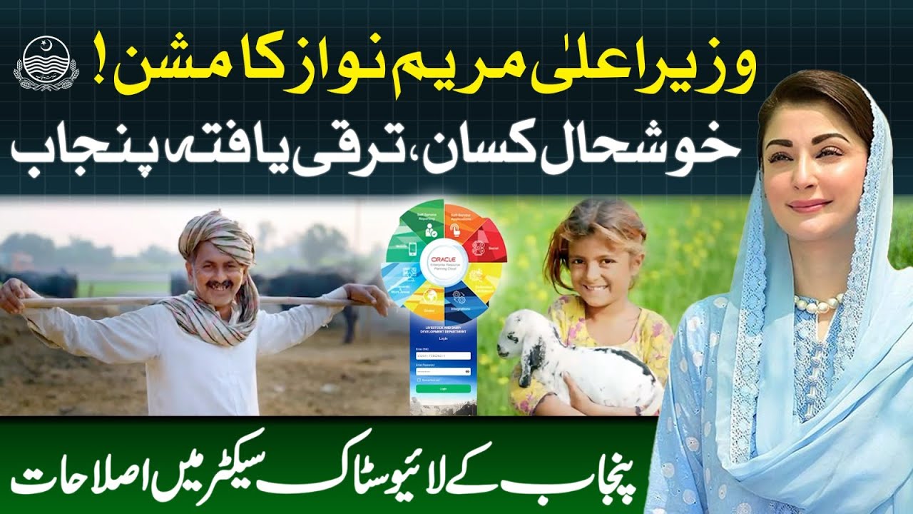 CM Maryam Nawaz Is Modernizing Cattle Markets | Farmers, Technology & Sustainability | PCMMDC | GOP