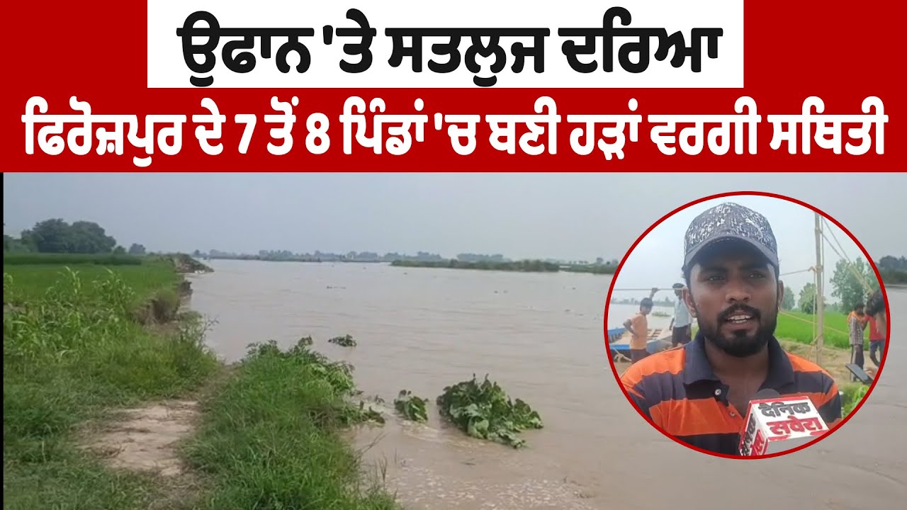 LIVE Sutlej River Flood 2025: ਉਫਾਨ 'ਤੇ ਸਤਲੁਜ ਦਰਿਆ,ਫਿਰੋਜ਼ਪੁਰ ਦੇ 7 ਤੋਂ 8 ਪਿੰਡਾਂ 'ਚ ਬਣੀ ਹੜਾਂ ਵਰਗੀ ਸਥਿਤੀ