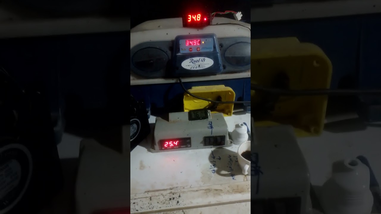 لأول مرة شرح معايرة الفقاسة الإطالية River او Rielمع بعض النصائح