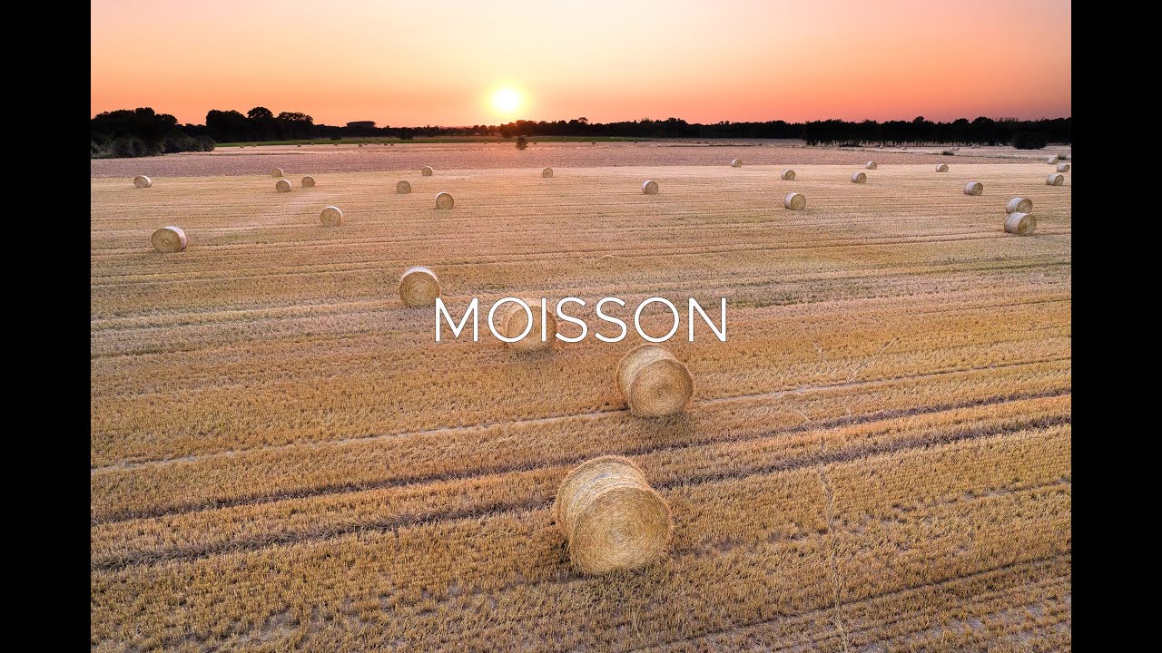 Moisson 🌾