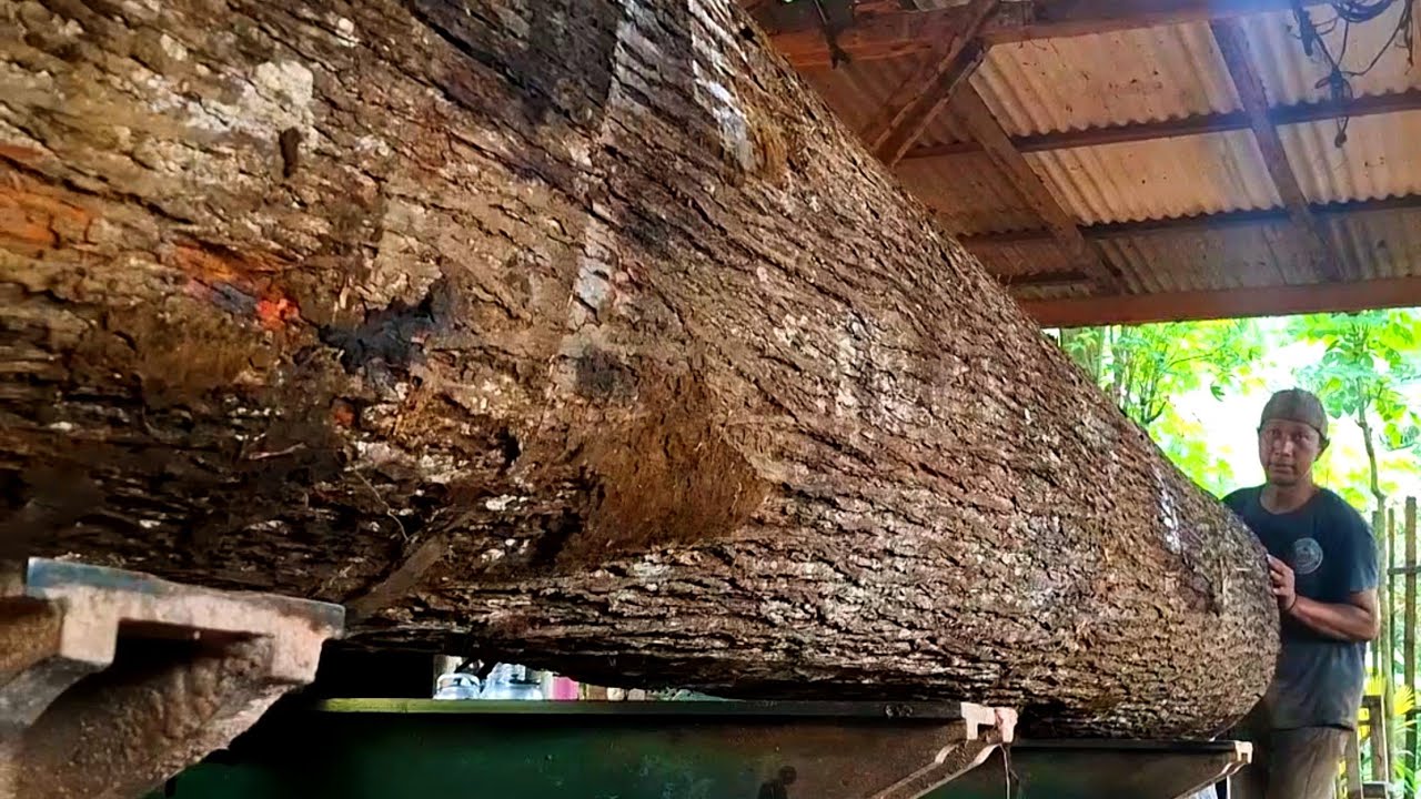 The giant mahogany wood contains the beauty of the grain in the sheets. 