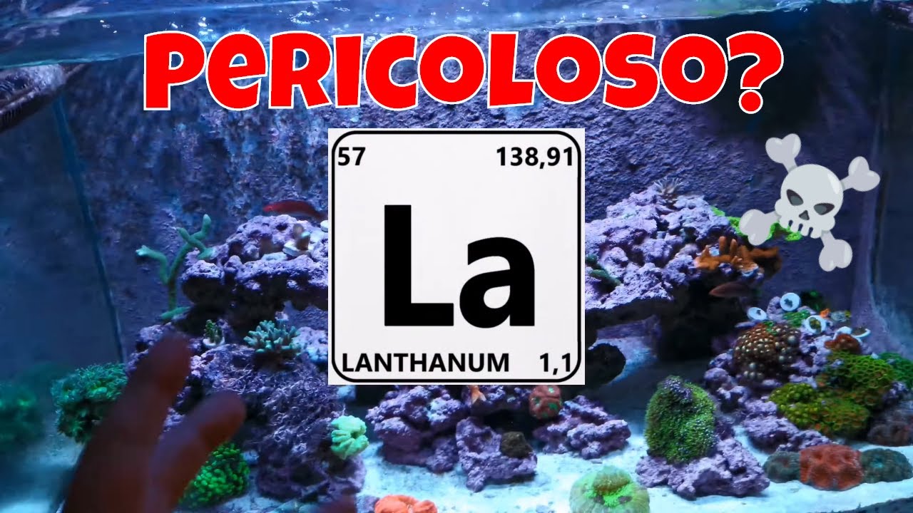 Abbassare i Fosfati Acquario Marino - Cloruro di lantanio