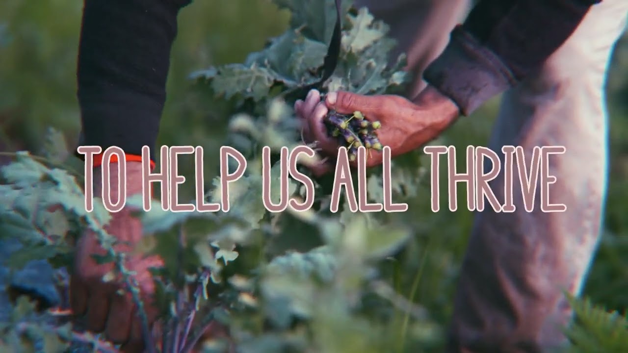 Hayes Carll - We're Only Human (Lyric Video)