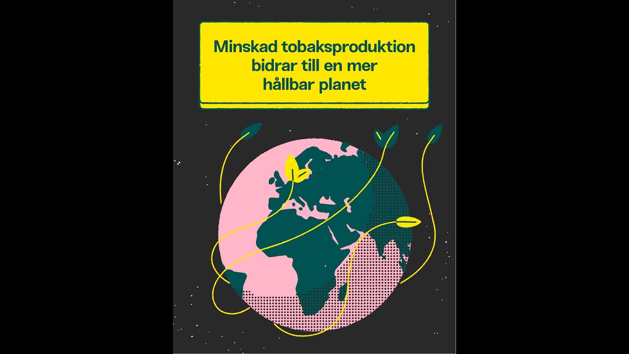 Tobak - ett milj&ouml;problem