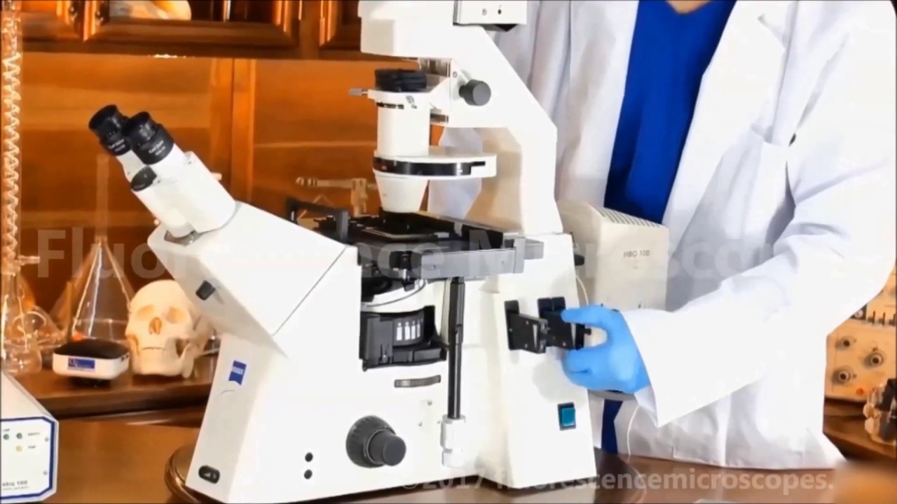 Zeiss AxioVert 200 Inverted Fluorescence Microscope - SKU 009