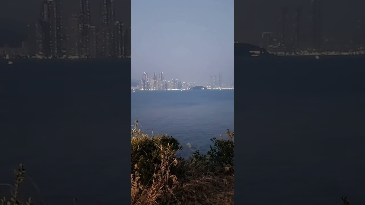 2026년 2월 17일