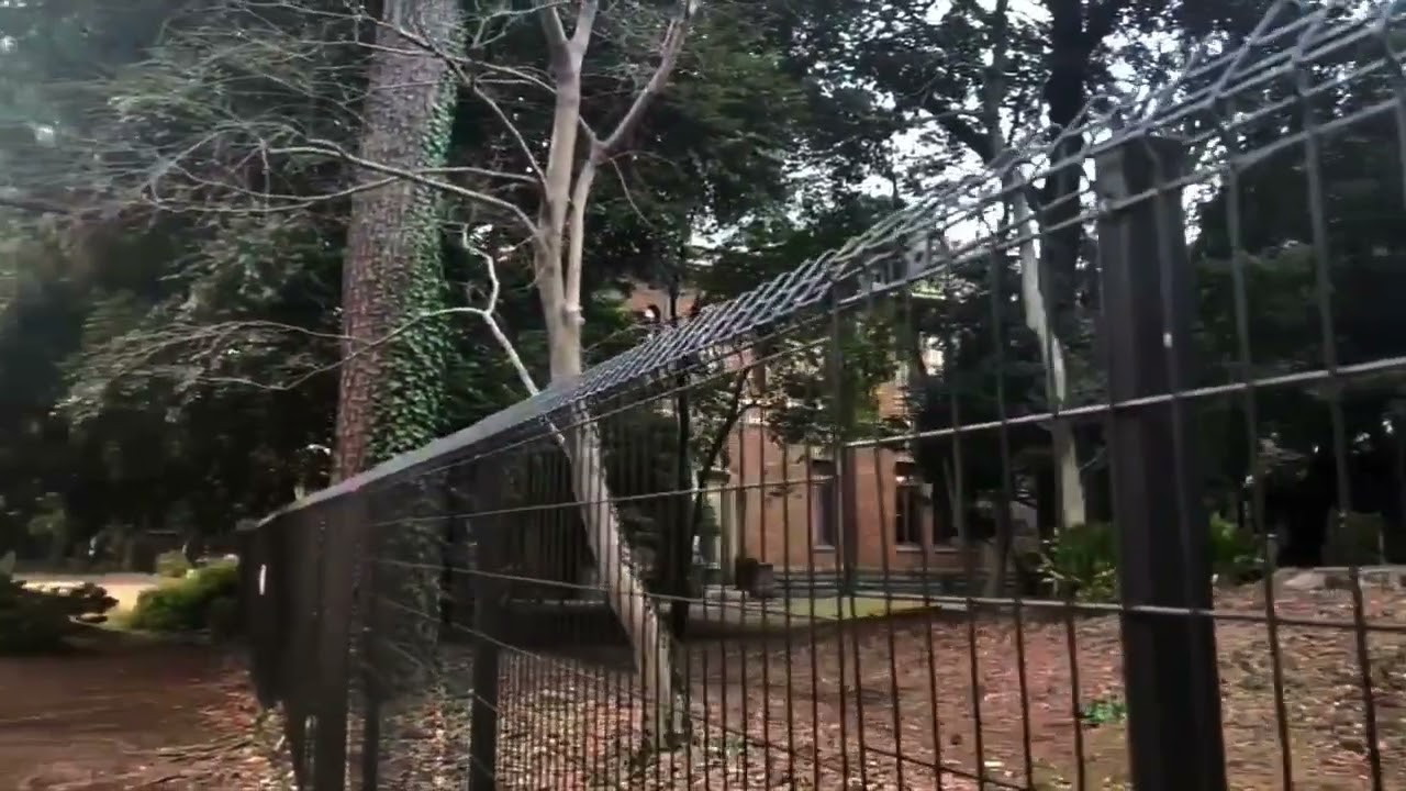 2026/3/10(火)🥶🛝駒場東大前&公園⛲️🏞️
