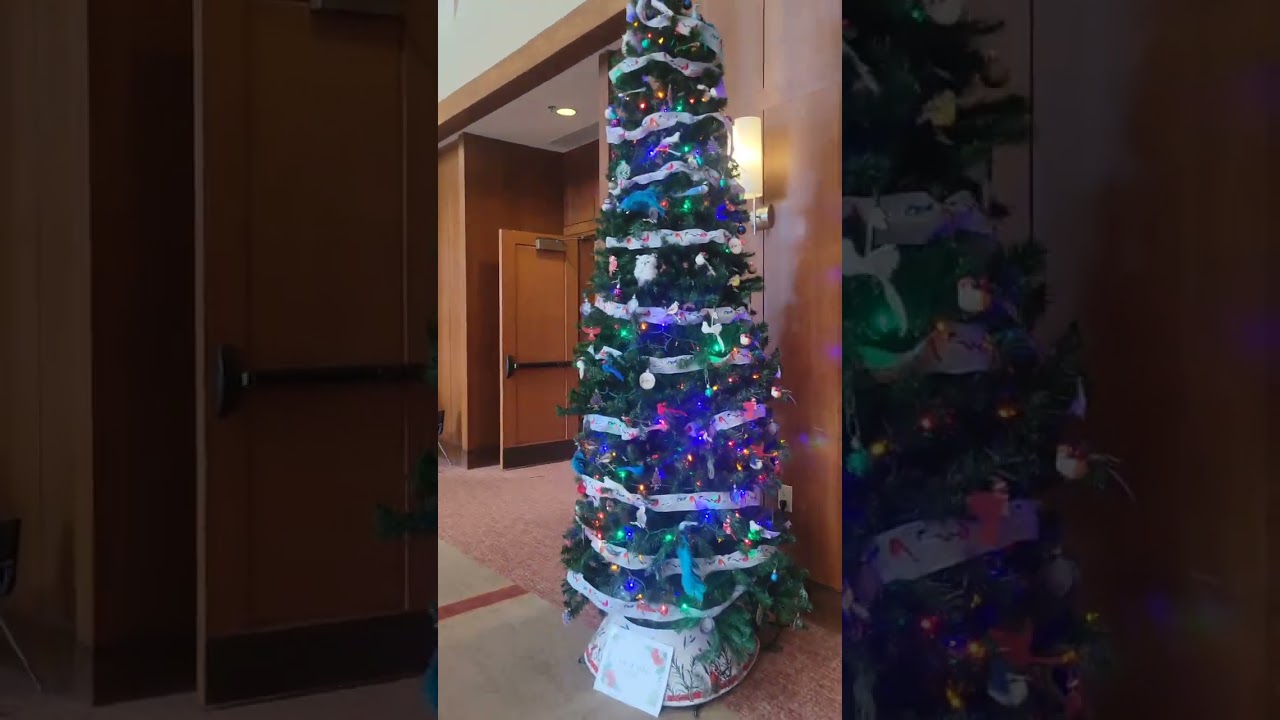CHRISTMAS 