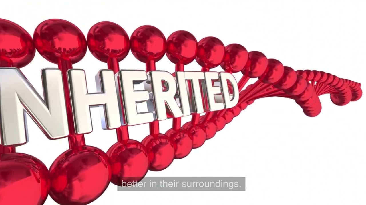 Unraveling the Secrets of Life: Exploring Evolutionary Biology