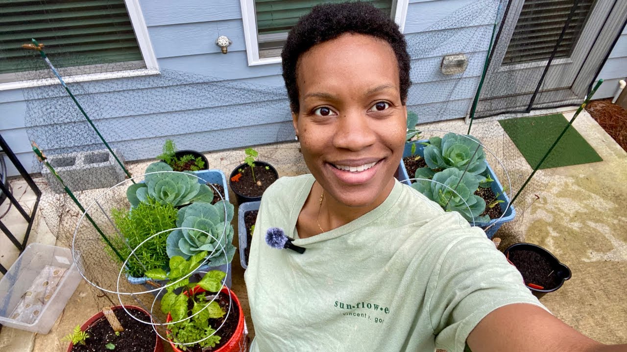 Everything’s Growing! My May Container Garden Tour 🌱🍅