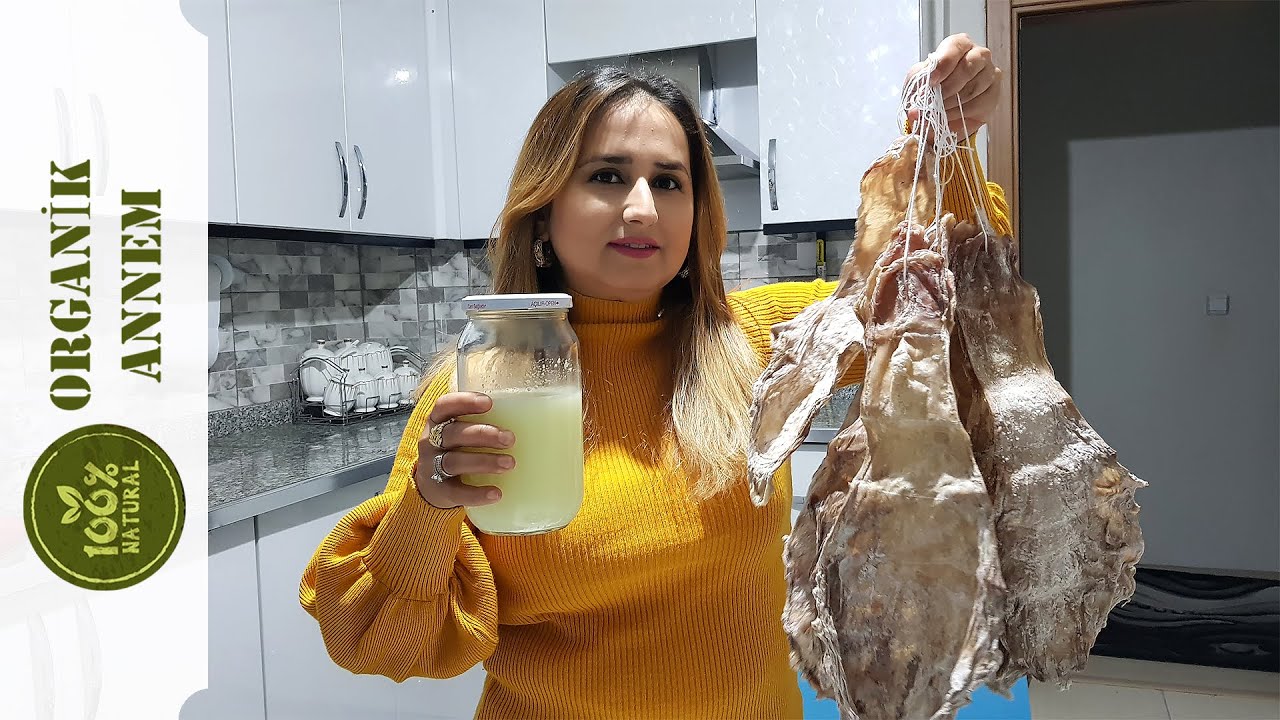 Şirden Maya Merak Edilenler - Şirden Maya Sık Sorulan Sorular - Şirden Maya Soru Cevap
