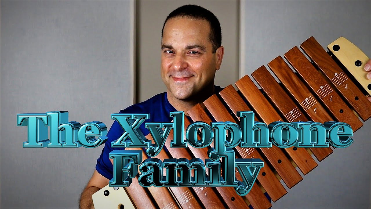 Xylophone Family: Learning About Orff Xylophones