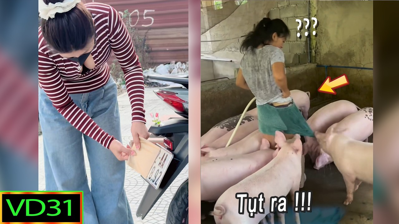 Tạp Chí Cười : Những thằng ngu nhất hành tinh 2026 ! (Phần 09) | Khoảnh khắc hài hước