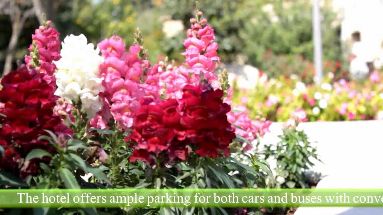 ramat rachel hotel in jerusalem israel
