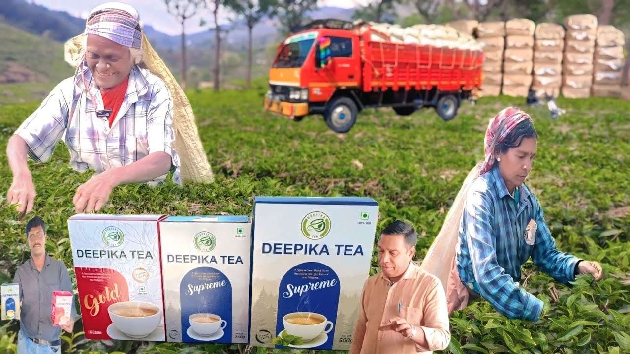 Tea Factory Tour | Tea Powder Business ideas in Tamil | Kothagiri Deepika Tea Factory | Siva Arun Tv