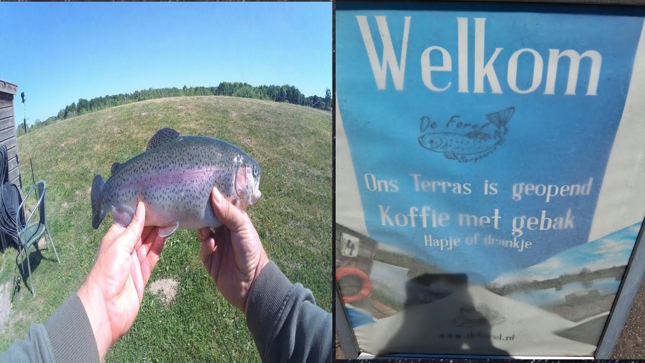 De Forel Forellenangeln ohne Angelschein!