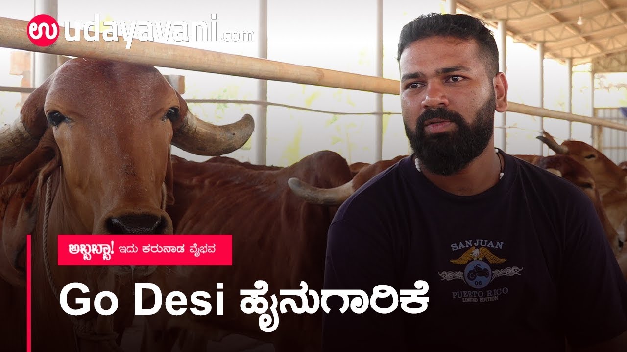 ವಿದೇಶ ತೊರೆದ ಯುವಕನಿಂದ Go Desi ಹೈನುಗಾರಿಕೆ | Milk Dairy Farming | Udayavani