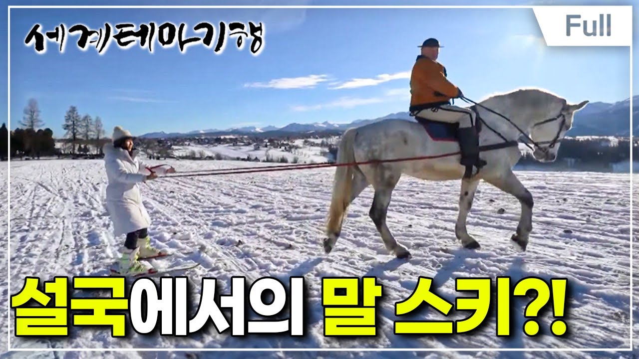 [Full] 세계테마기행 - 우리가 몰랐던 진짜 겨울왕국 폴란드- 소문난 설국 자코파네