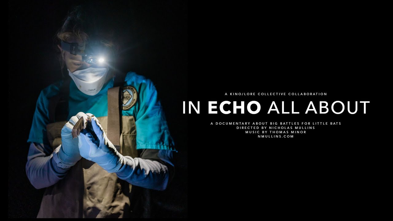 In Echo All About | White Nose Syndrome and Bats (2022 Documentary)