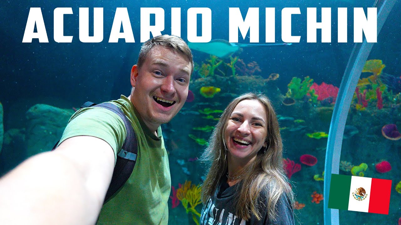 🐟ASI ES EL ACUARIO MÁS GRANDE de AMERICA LATINA | RUSOS VISITAN ACUARIO MICHIN en CIUDAD DE MÉXICO