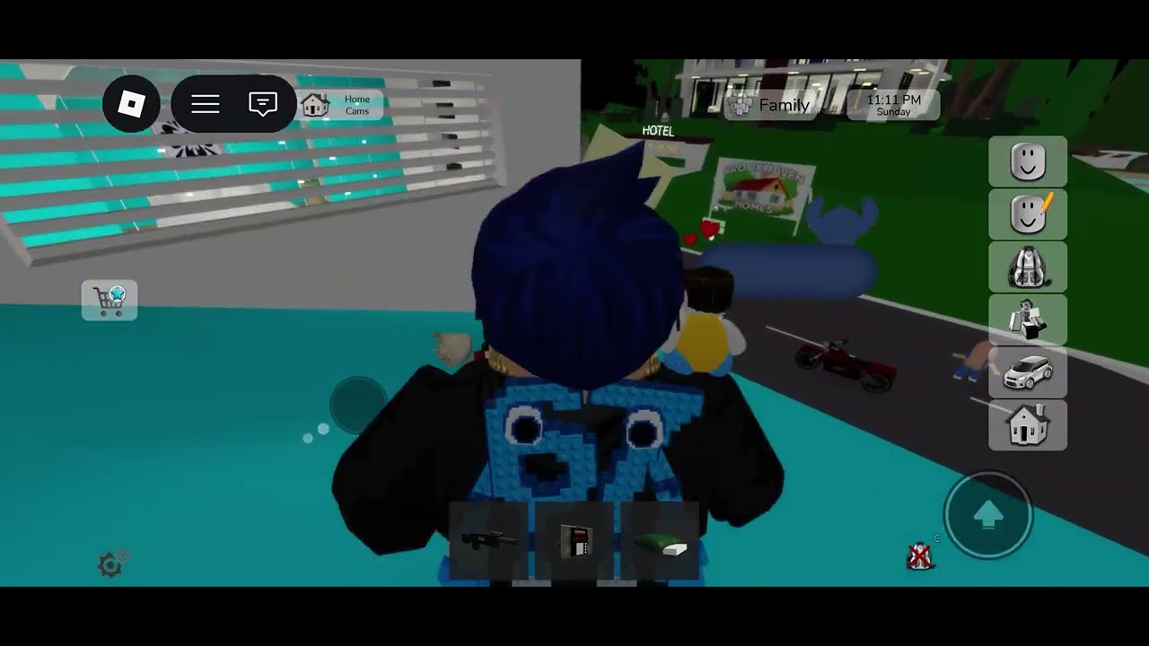 Brookhaven rp robbed house 