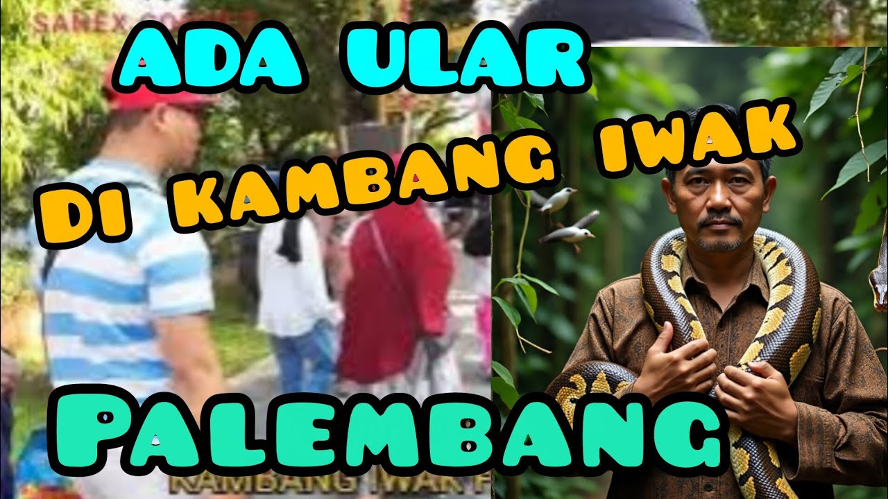 16 September 2025 KAMBANG IWAK 