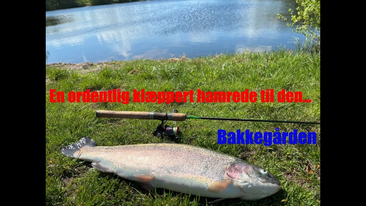 Et bæst HAMREDE til hammeren hos Bakkegården!