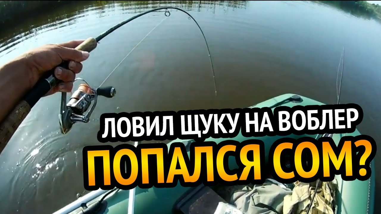 Ловил щуку а попался он.  Сом на воблер BOMBER LONG A.  Рыбалка в БЕЛАРУСИ.  (Перезалив)