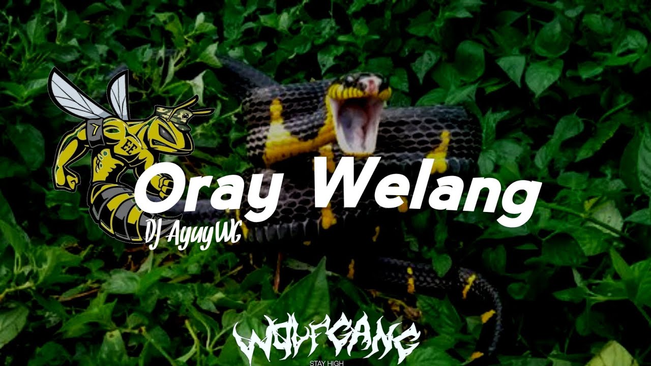 DJ Oray Welang &times; Oray Sawah || Viral Di tiktok