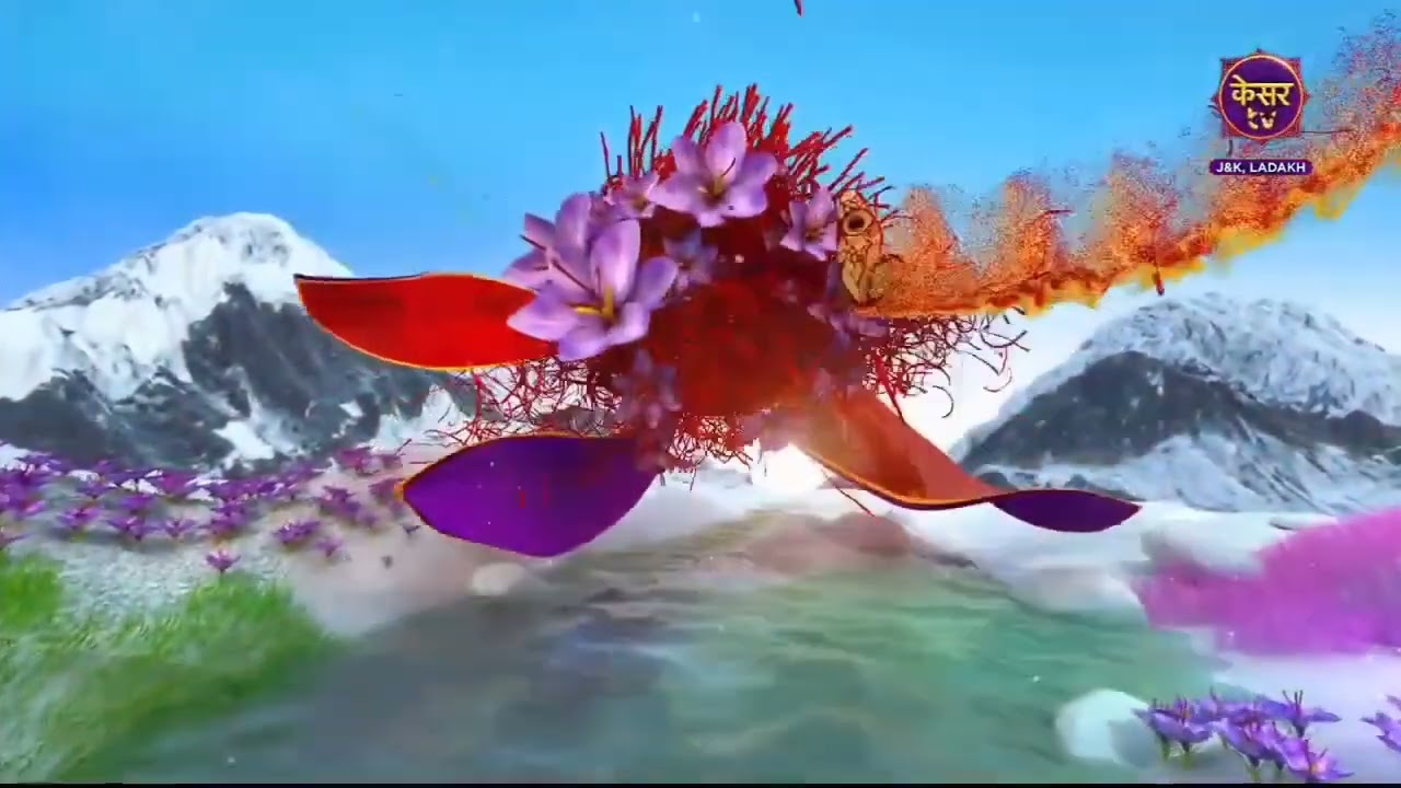Kesar TV J&K Ladakh (now Zee J&K Ladakh) - TV Idents (2022 - May 2025)