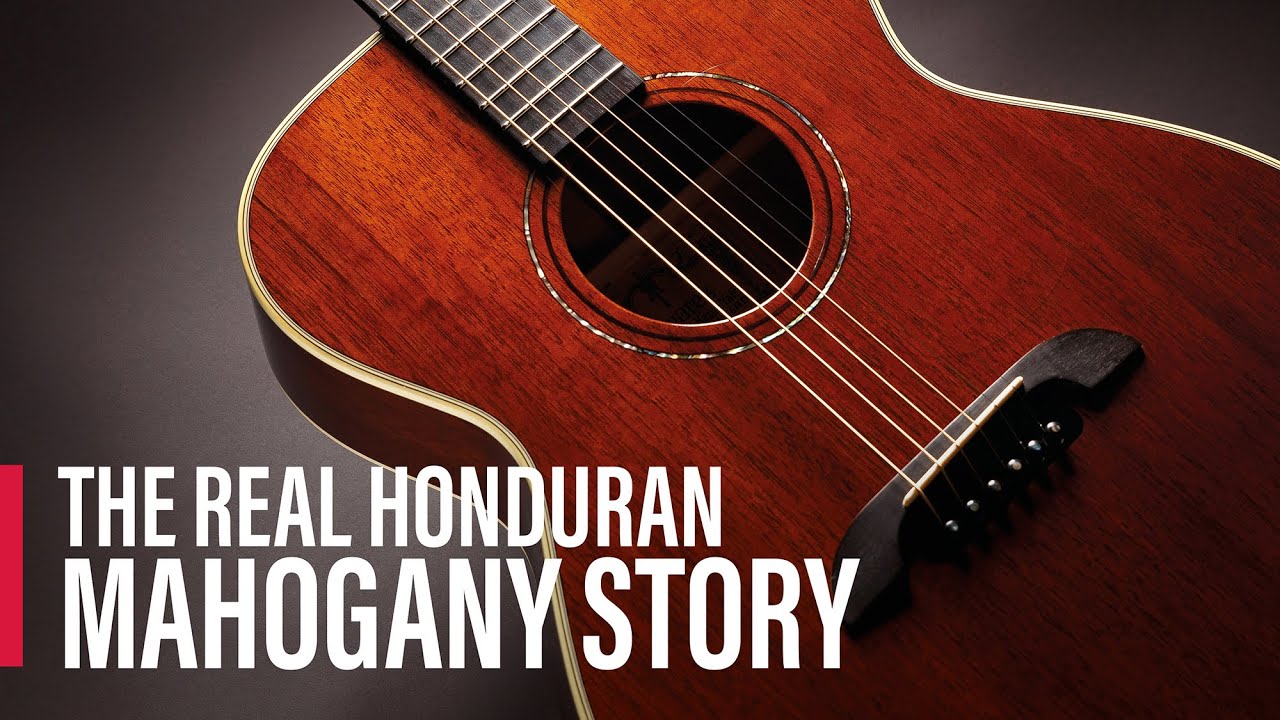 The&nbsp;Real Honduran Mahogany Story