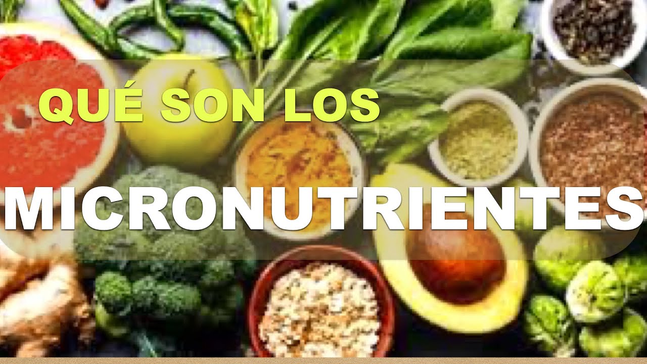 Qué son los micronutrientes
