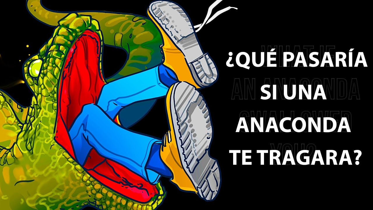 Cómo se siente ser tragado por una anaconda