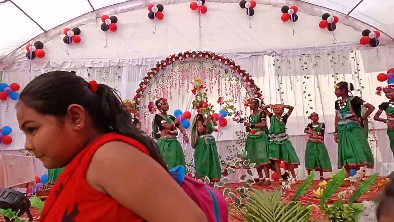 Dev Sanskriti Vidyalaya annual function video part 2